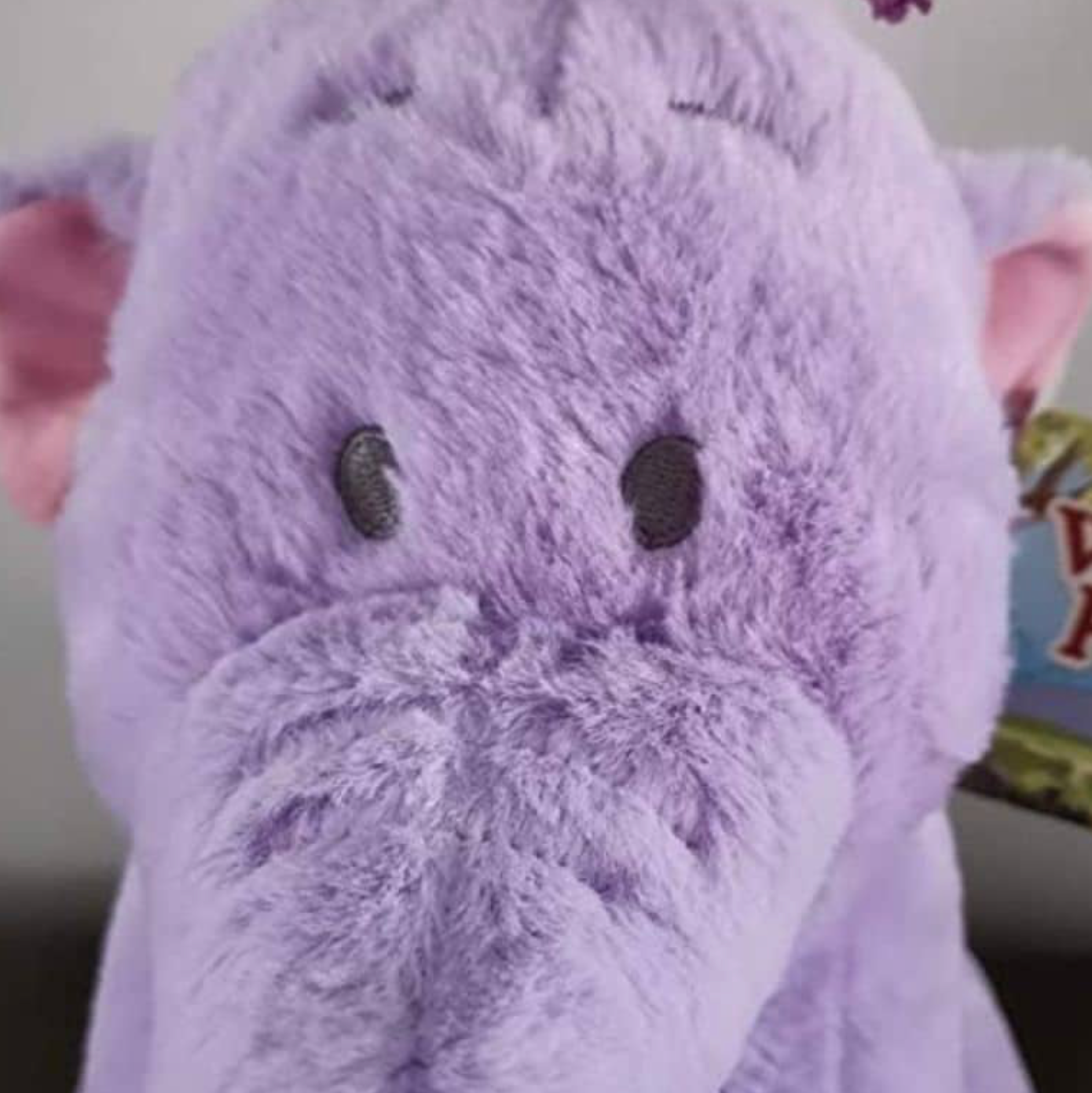 Ultra-Soft Lumpy Plush Toy