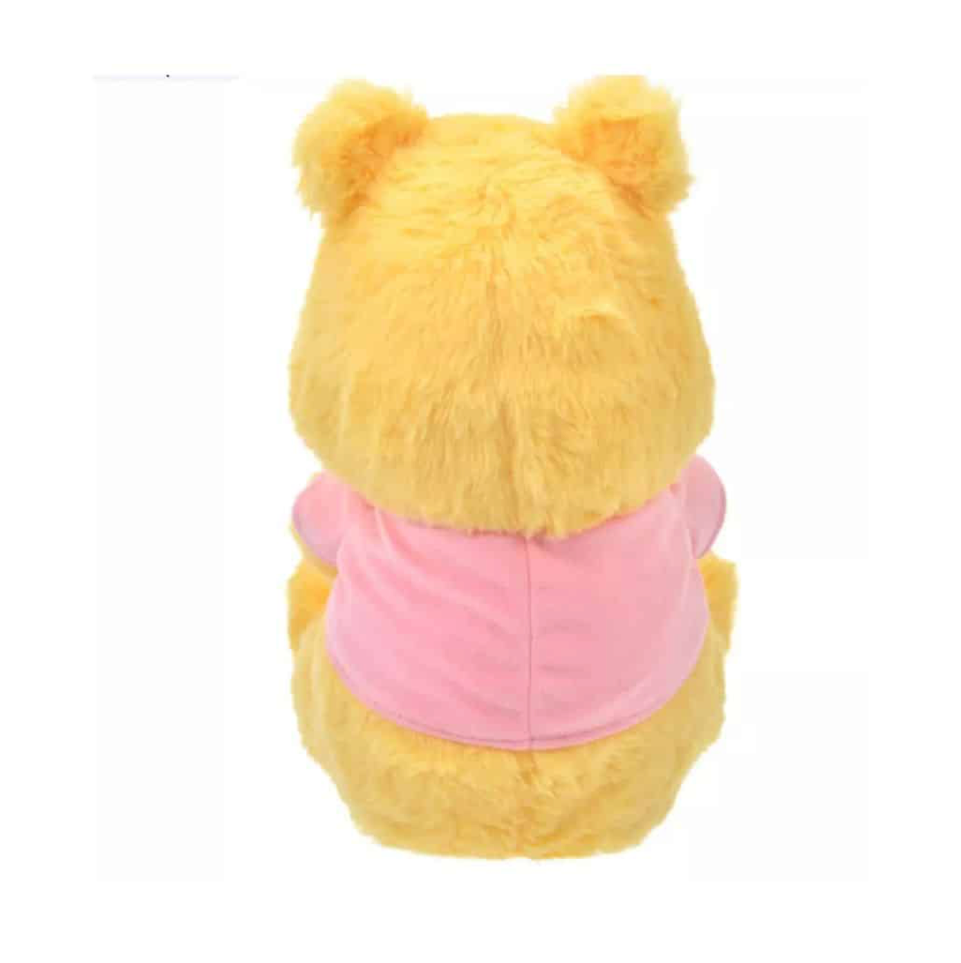 Sleeping Winnie The Pooh