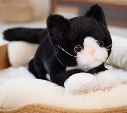 Cute Cat Plush Doll Toy – Soft, Kawaii & Perfect for Pet Play