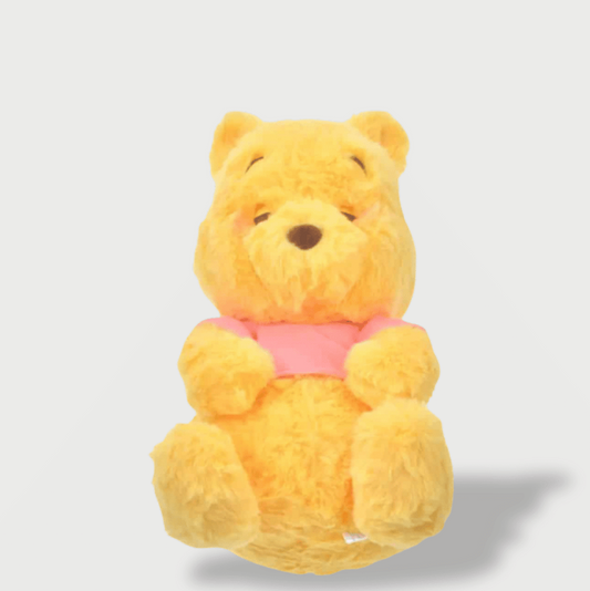 Sleeping Winnie The Pooh