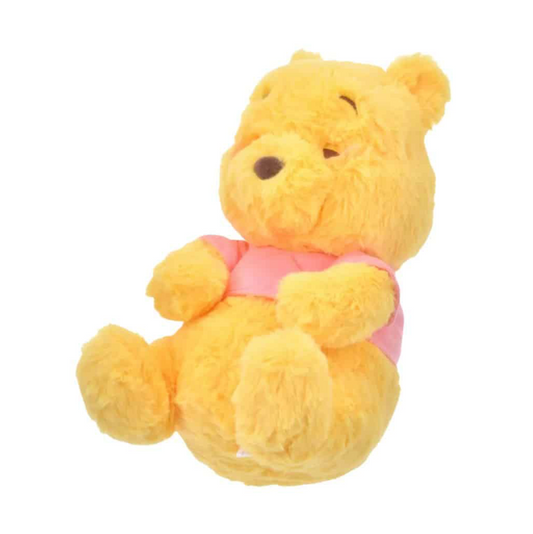 Sleeping Winnie The Pooh